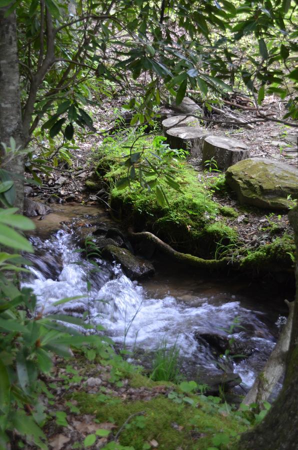 Panther Creek Cabins Cherokee Εξωτερικό φωτογραφία