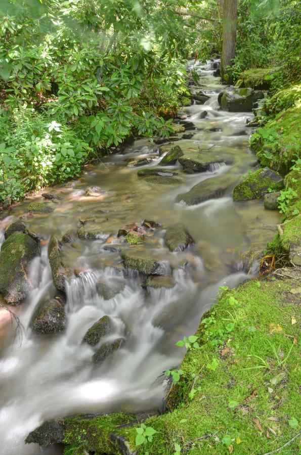 Panther Creek Cabins Cherokee Εξωτερικό φωτογραφία